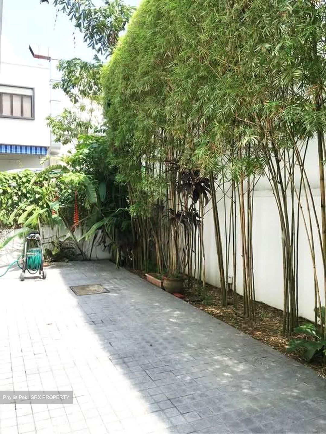 Shamrock Park (D10), Terrace #574052451